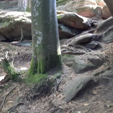 Apartment Fels- Und Seenland Ludwigswinkel