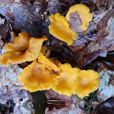 Fels- Und Seenland Apartment