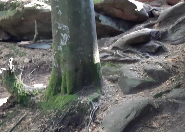 Apartamento Fels- Und Seenland Ludwigswinkel