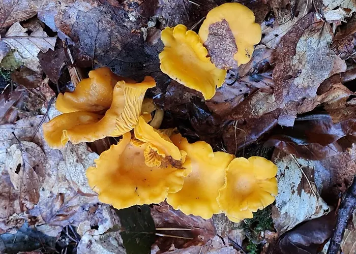 Fels- Und Seenland Apartment